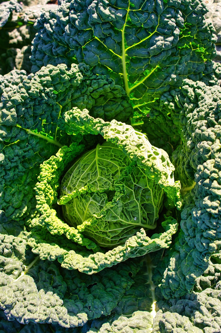 Agriculture